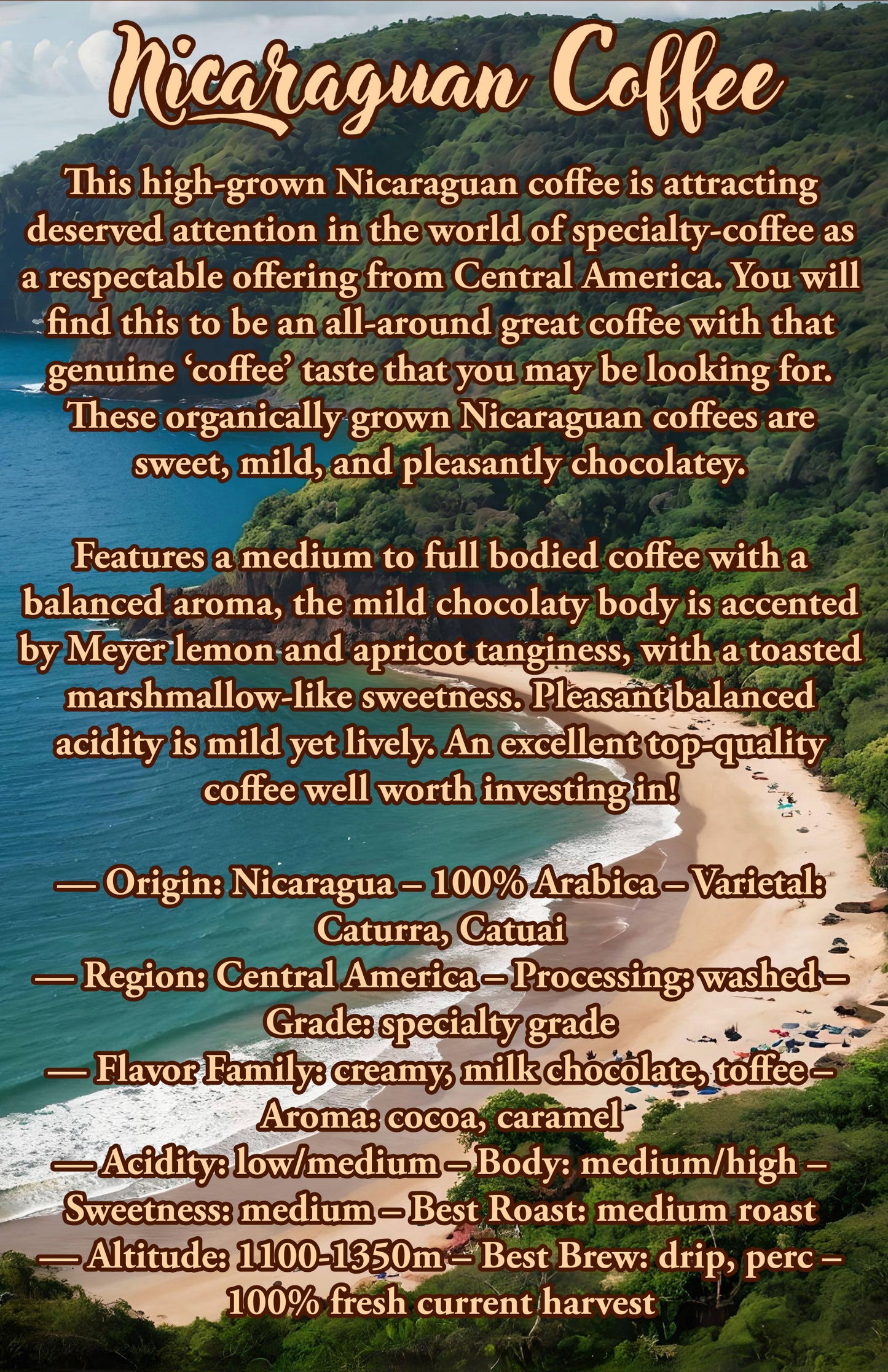 36 Oz Nicaraguan Coffee Bean Sampler | 100% Arabica Coffee Beans |