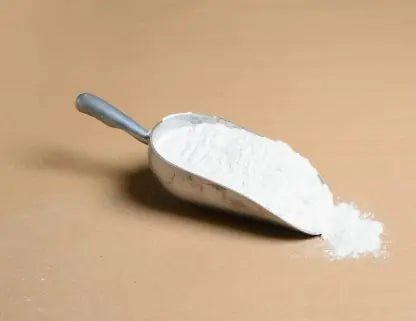 1 LB Diatomaceous Earth