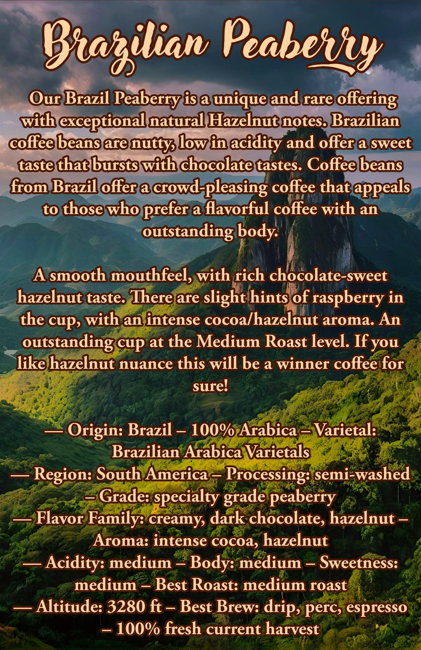 36 Oz Brazilian Peaberry Coffee Bean Sampler | 100% Arabica Coffee Beans |