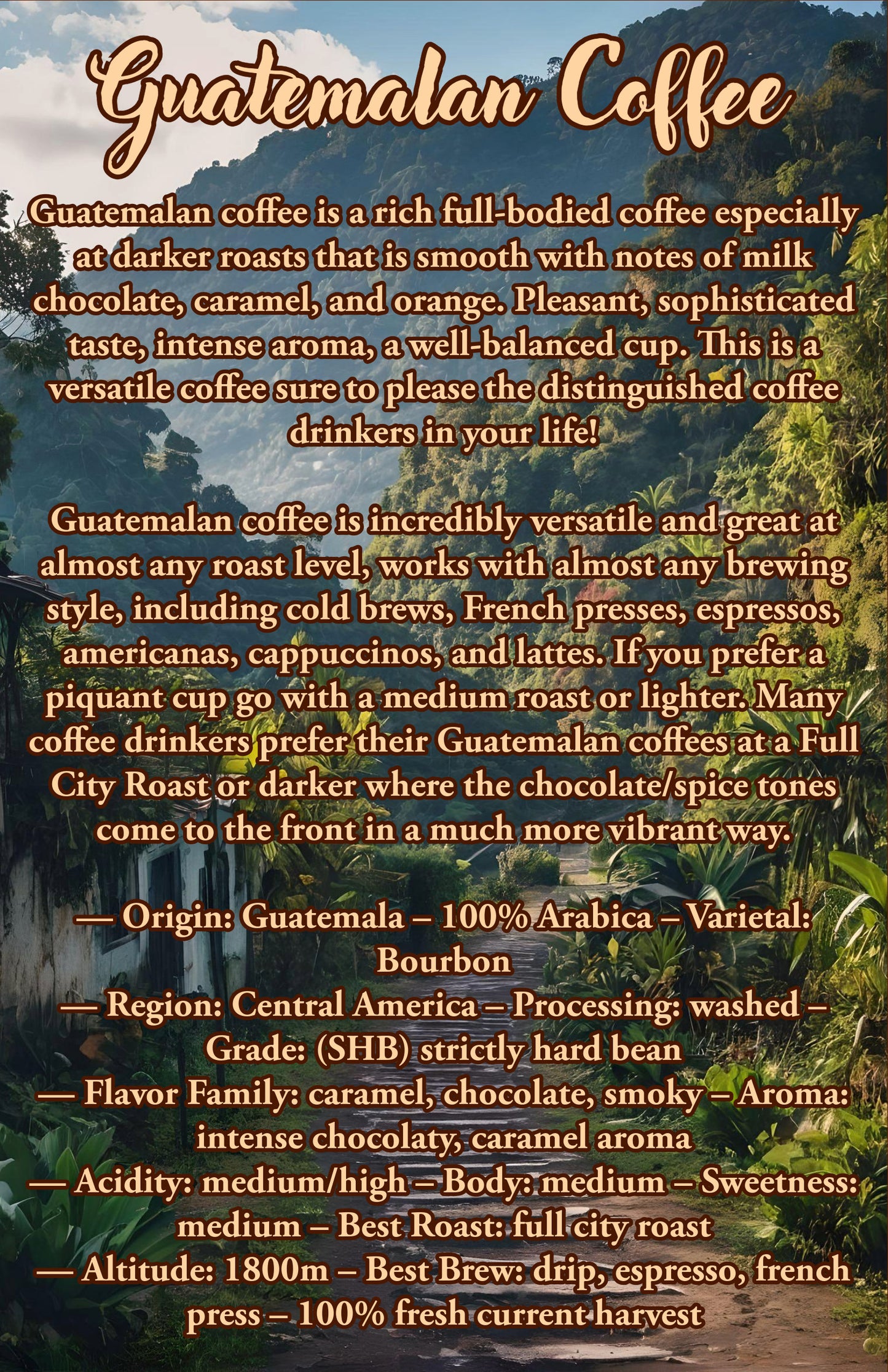 36 Oz Guatemalan Coffee Bean Sampler | 100% Arabica Coffee Beans |