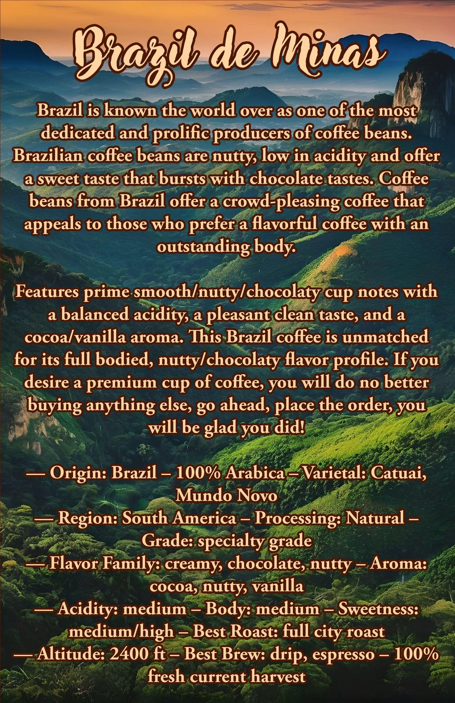 12 Oz Brazil de Minas Coffee | 100% Arabica Coffee Beans |