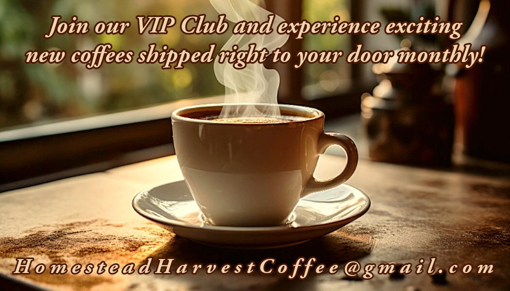 12 Oz Nicaraguan Coffee | 100% Arabica Coffee Beans |
