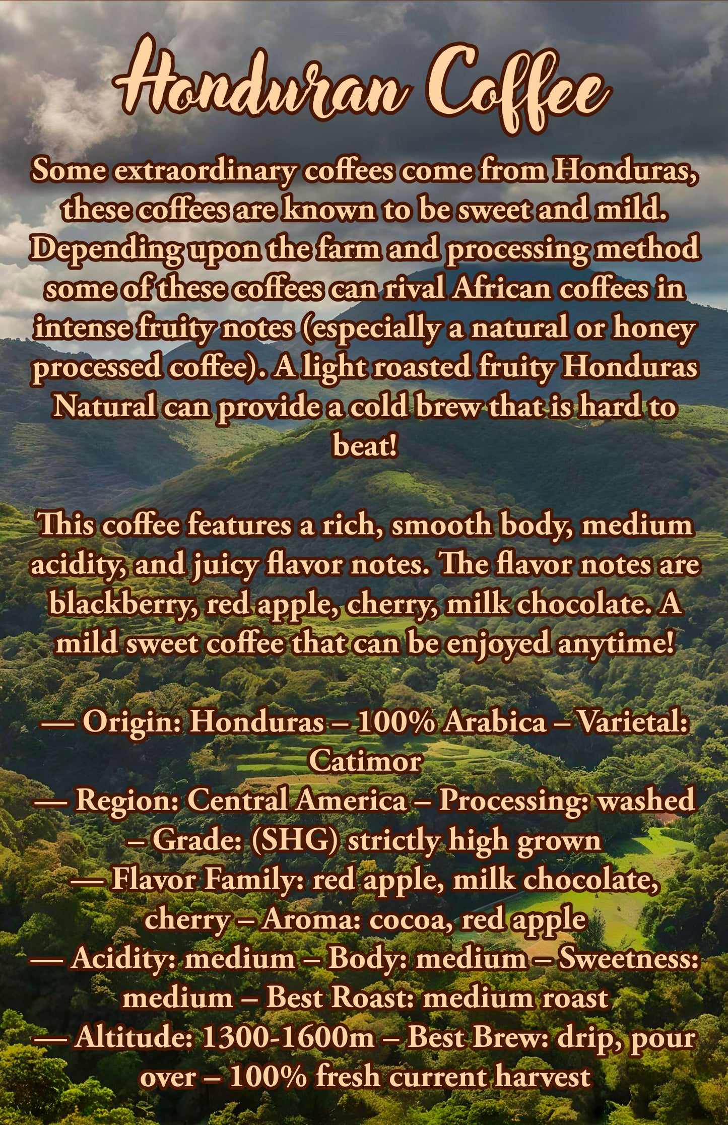 12 Oz Honduran Coffee | 100% Arabica Coffee Beans |